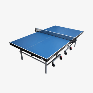 Table Tennis- Table